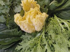 -草原传奇鲜羊火锅(桥北店)