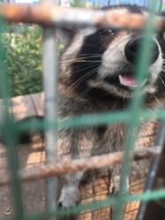 -萌宠亲子动物乐园(槐房万达店)