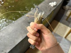 -光头佬室内钓虾场·烧烤·团建·亲子(中山八路店)