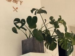 -春树下·树屋花房西餐厅(罍街AS1980店)