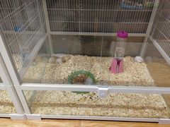 -狗道宠物(常熟印象城店)