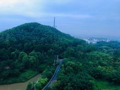 -美的鹭湖森林度假区