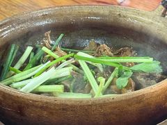 -霞姐屯昌枫木香草鸭店(海螺店)