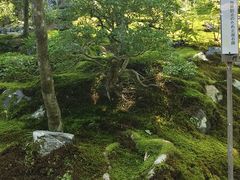-常寂光寺