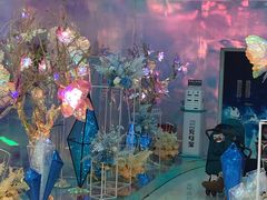 -巴黎春天(浦建店)