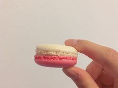 -PAUL LAFAYET 法式甜品(港汇广场店)