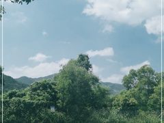 -西涌国际滨海旅游区