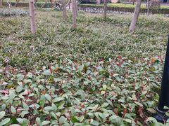 -徐家汇源景区-衡山公园