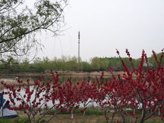 -永定河休闲森林公园