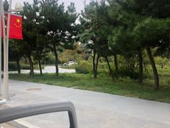 -日照海滨国家森林公园