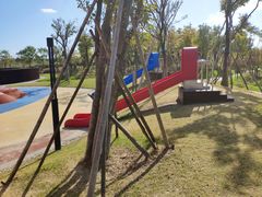 -春花秋色城市公园