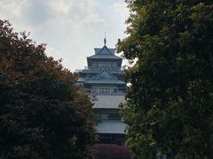 -金鸡湖桃花岛