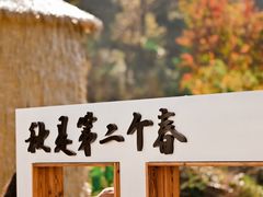 -塔川景区