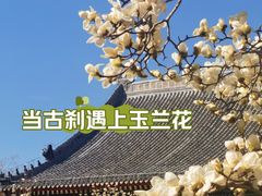 -天津大悲禅院