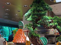 -亚马逊海鲜自助(梅溪湖步步高店)