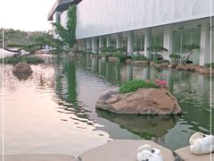 -罗红摄影艺术馆