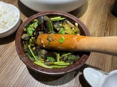 -云海肴·汽锅鸡·云南菜(广安门天虹店)
