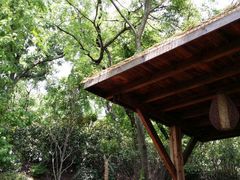 android_upload_pic-南京汤山紫清湖生态旅游温泉度假区