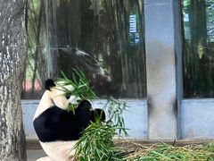 -海南热带野生动植物园