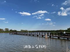 -西青郊野公园