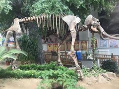 -中国第四纪冰川遗迹陈列馆