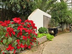 -石家庄市植物园