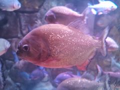 -多彩贵州城极地海洋世界