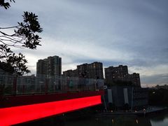 -青枫公园