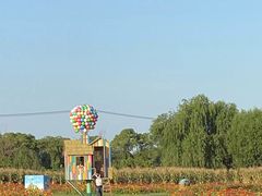 -苏州太湖西山岛开心农场