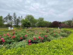 -洛阳市隋唐城遗址植物园