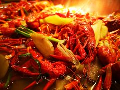 -新发展亚太JW万豪酒店·福苑咖啡厅