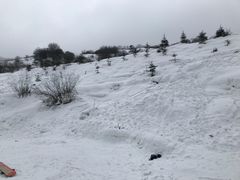 -太子岭滑雪场
