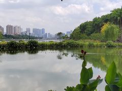 -南宁南湖公园