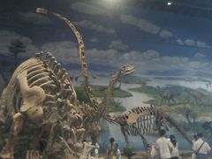 -自贡恐龙博物馆