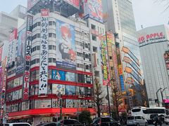 -秋叶原电器街