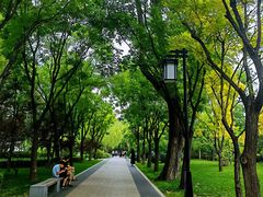 -迎泽公园