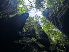 -梭布垭石林景区