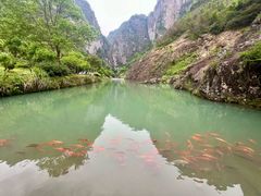 -楠溪江风景名胜区
