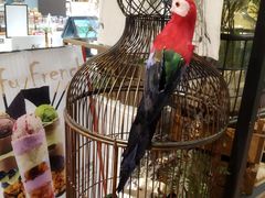 -花蒲甜品(海信广场店)