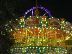 -锦江乐园舞狸花花游园会(夜场专享)