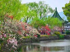 -无锡蠡湖国家湿地公园-蠡园