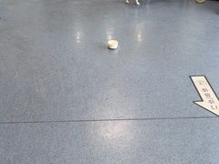 -顺强宠物诊所·狂犬免疫·夜诊·骨科(嘉定店)