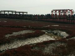 -红海滩国家风景廊道