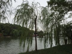 天目湖山水园景区-天目湖山水园