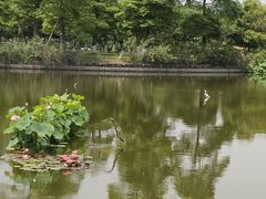 -成都南湖公园