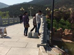 IMG_1171-徂徕山森林康养度假谷温泉