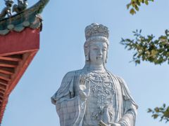-东莞观音山旅游风景区