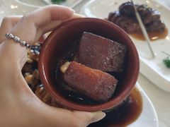 东坡焖肉-楼外楼(西湖景区孤山路店)