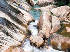 -广州白江湖森林公园