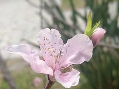 -贵阳市花溪国家城市湿地公园